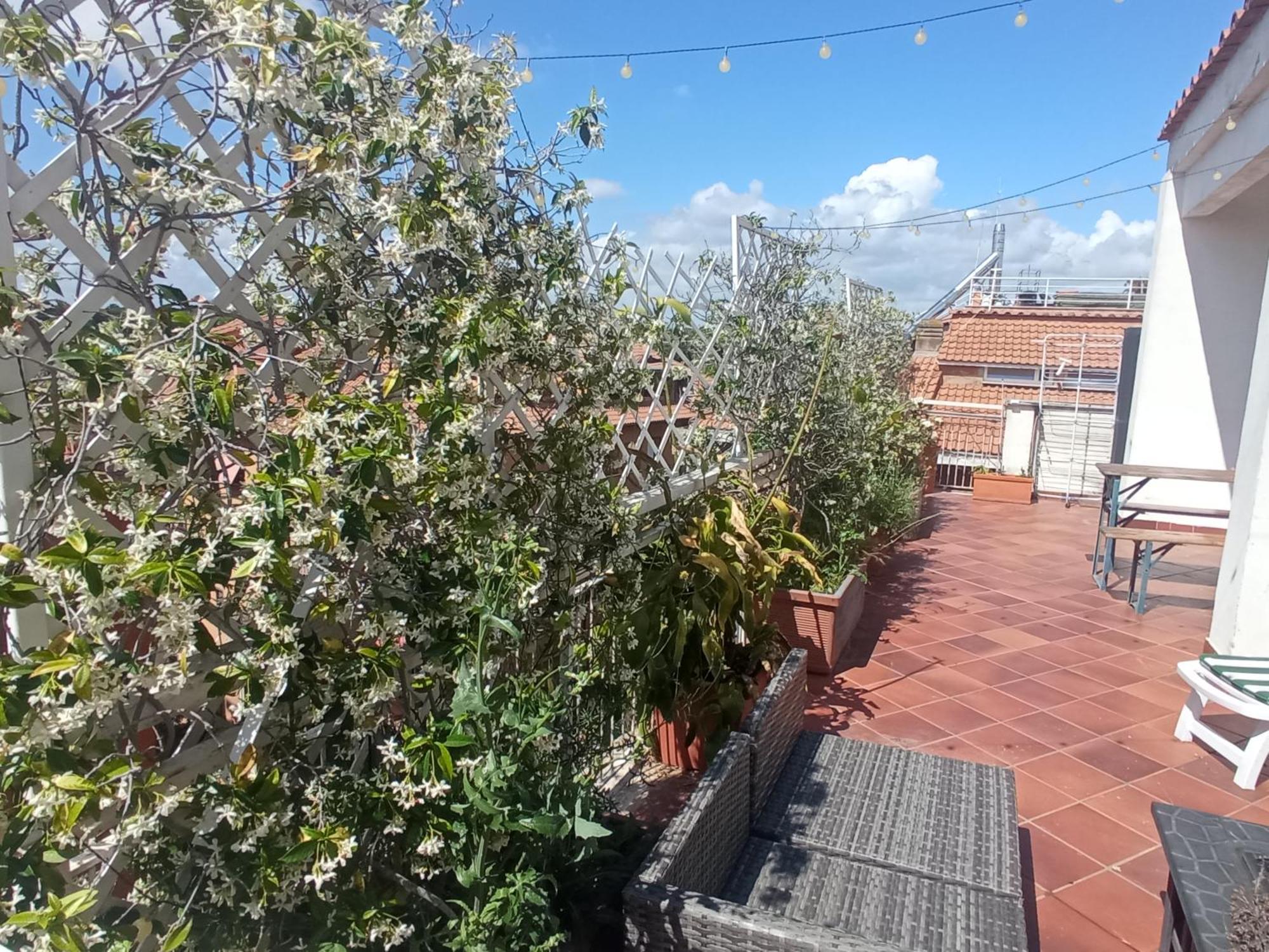 Rooftop Appia Antica,silenzioso Riservato Two Bedrooms Two Bathrooms Lejlighed